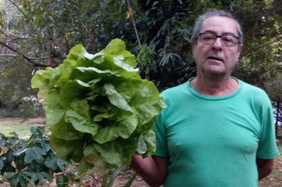 Site aumenta em até 100% vendas de produtores rurais de Jundiaí