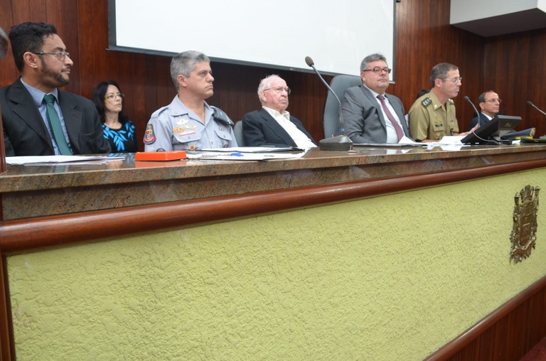 Dia da Vitoria 2014 (12)